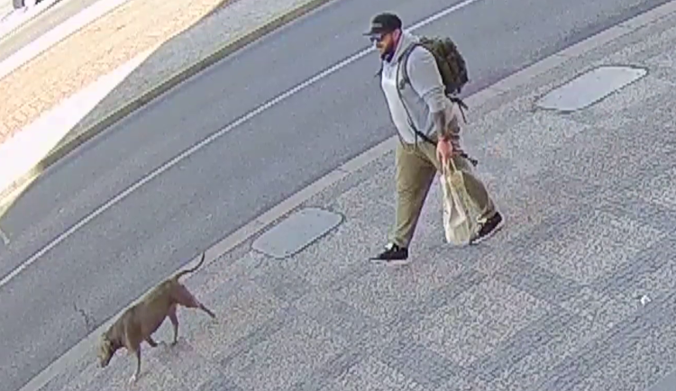 Útočník napadl na Letné muže, kopal ho a vyrazil mu zuby