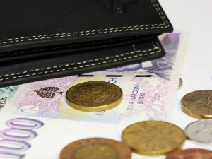 Senát schválil reformu sociálního systému: vzniká nová superdávka