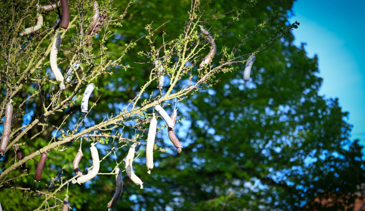 FOTO: Májka jako z pohádky, strom nadšenci ozdobili jitrnicemi a jelity