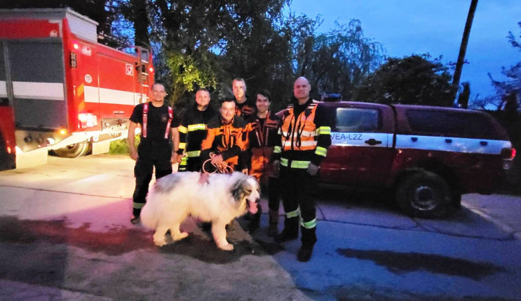 Hasiči na Žďársku vytáhli psa z kamenolomu. Chlapi, děkuji mnohokrát, říká majitelka