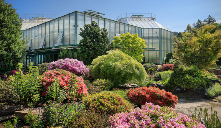 Botanická zahrada oslaví zítra 80. výročí konce války vstupem zdarma