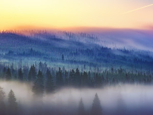 NP Šumava je krůček od nejvyšší světové ligy, ohrozit to ale může novela zákona