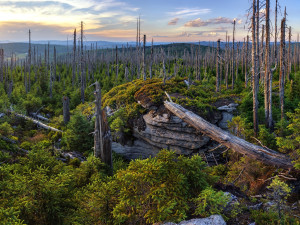NP Šumava je krůček od nejvyšší světové ligy, ohrozit to ale může novela zákona