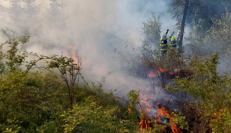 Dva požáry lesa na Šumpersku od špatně uhašeného ohniště. Zasahovaly desítky hasičů