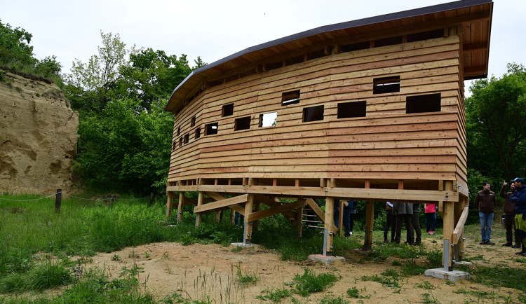 VIDEO: Za českými papoušky. V bývalé pískovně u Přerova vznikla ptačí pozorovatelna