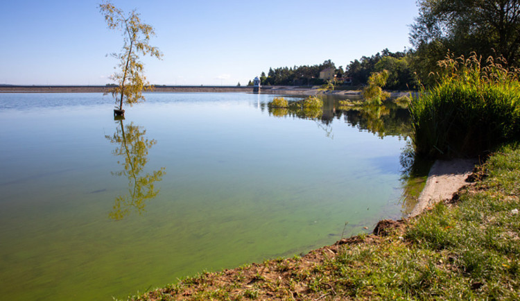 Přehradu Plumlov roky trápí znečištění. Povodí Moravy chystá studii obsahu fosforu