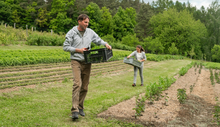 Bylinná zahrada i opravy satelitů. O cenu za ekologický nápad roku se uchází šest projektů