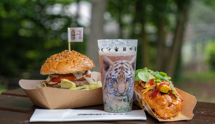 ANKETA: Burgery, guacamole i kávové speciality. Zoo Olomouc inovuje nabídku občerstvení