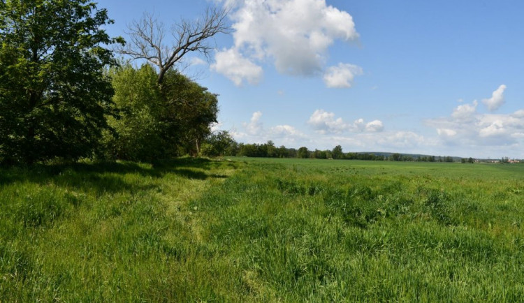 Začíná stavba městského úseku cyklostezky z Plzně – Malesic do Města Touškova