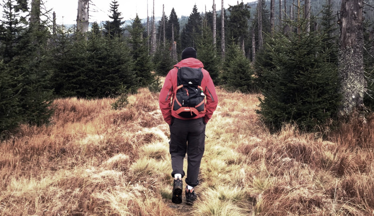 Stezka na legendární šumavský Modrý sloup se otevře nejdříve v příštím roce