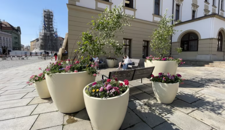 ANKETA: Pod slunečními hodinami v centru Olomouce rozkvetly květiny. Jak se vám líbí?