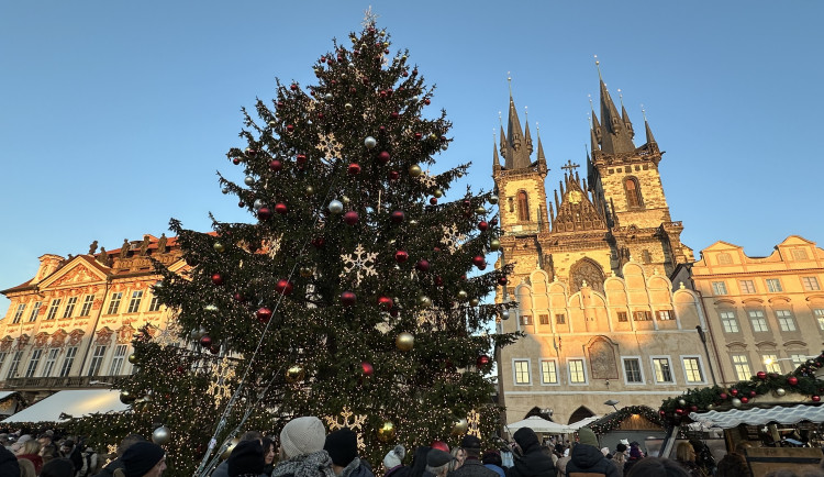 Praha hledá vánoční strom na Staromák, za dobrý tip nabízí deset tisíc