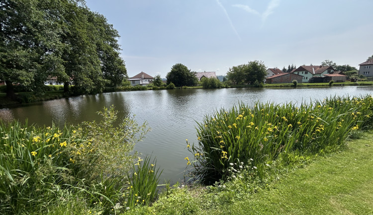 Cejle přivítá rodáky. Zájemce po obci sveze autobus, pokřtí se kniha a nové kroje