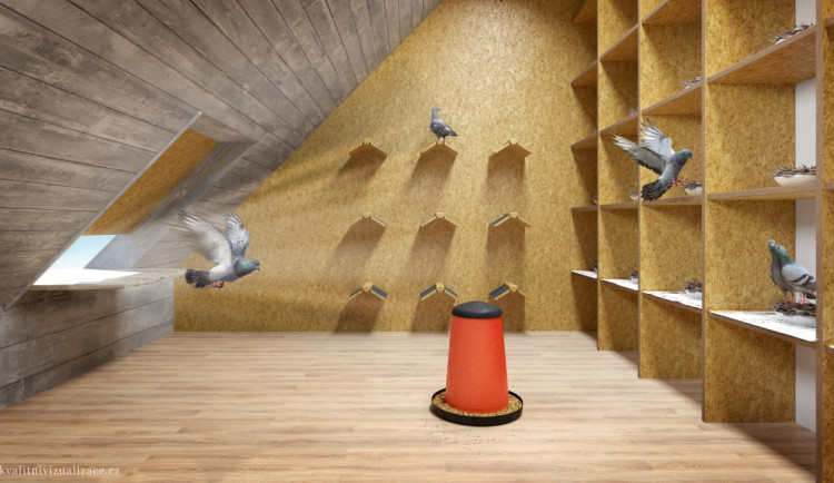 Holubi v Trutnově budou mít vlastní apartmán: výhra pro ptáky i lidi