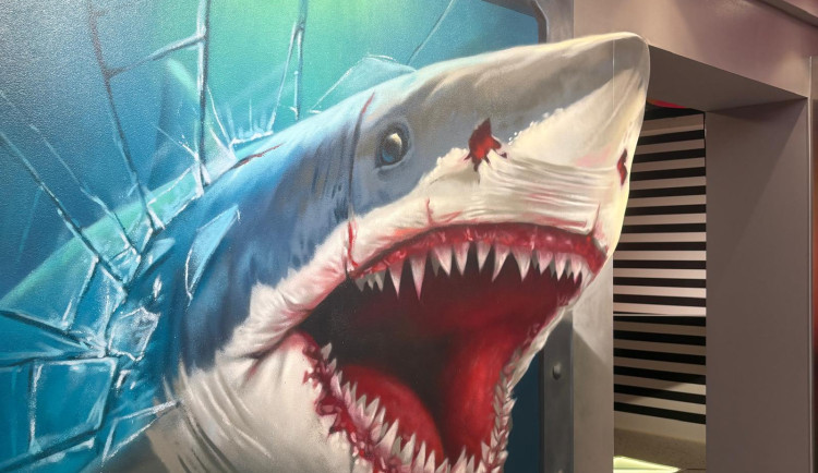 Svět naruby v centru Brna. Nové muzeum iluzí láká na optické triky a zrcadla