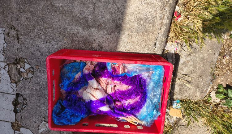 Inspekce odhalila špínu na tržnici v Brně. Zkažené vnitřnosti ležely u bylinek