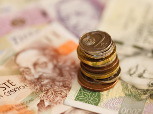Příjmy domácností vzrostly o 0,3 %, úspory a firemní investice klesly