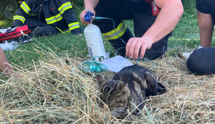 Ve vesničce u Bouzova plameny poničily dům, hasiči pomohli kocourovi v ohrožení