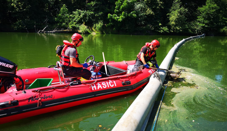 Šlo tomu zabránit? Kriminalisté řeší úhyn ryb v Dyji