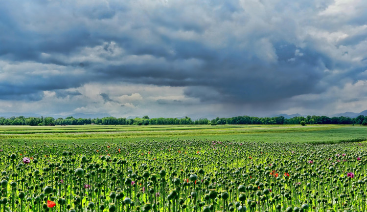 Čeká nás oblačný až zatažený týden s přeháňkami a teplotami kolem 20 stupňů