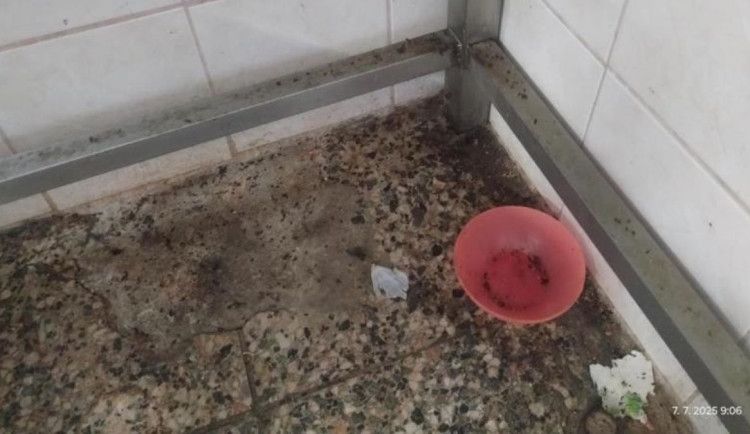 Inspektoři zavřeli restauraci v lázeňské obci Skalka. Uvnitř našli špínu a mrtvé hlodavce