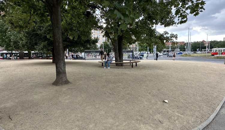 Místo cest vyšlapaných v trávě poušť. Lidé kritizují úpravu části Kulaťáku