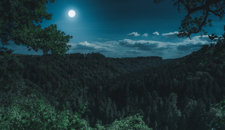 Patnáctiletá dívka se ztratila v lese při noční táborové hře, policisté ji našli