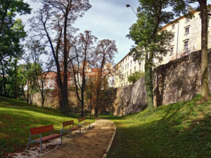 Jaký vliv má zeleň na lidi, zkoumají vědci. Ve městě každopádně snižuje teplotu
