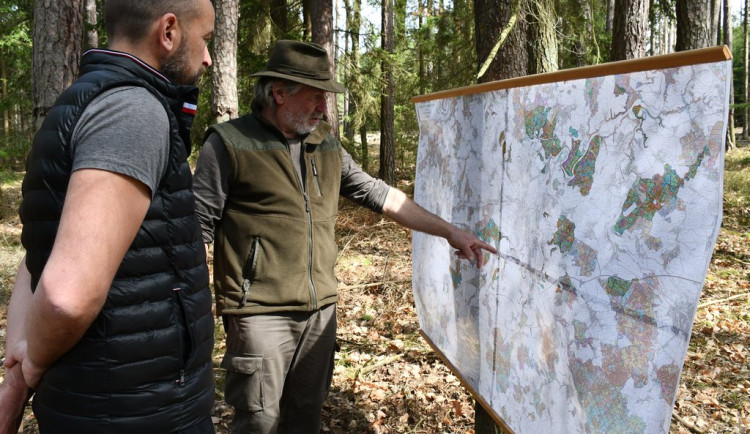 Budování lesních tůněk, políčka pro zvěř i těžba dřeva, městské lesy mají plán na deset let