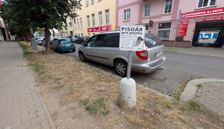 Obvod částečně posekal problémový ječmen myší, plánuje i výsadbu odolnější zeleně