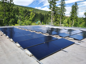 Stezka korunami stromů instalovala fotovoltaický systém. Ušetří 20% energie