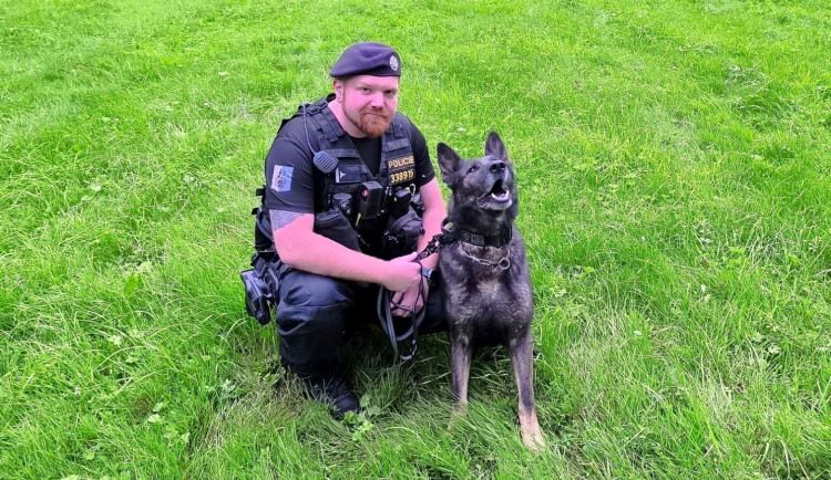 Do hodiny bylo po všem. Pes Rey pomohl během chvíle dopadnout zloděje