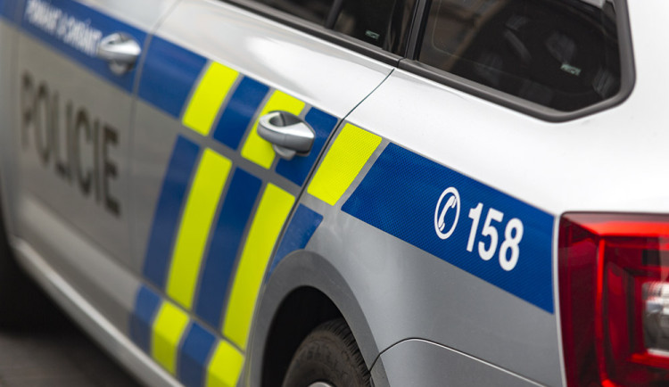 Na sídlišti v Hranicích zemřel pes zavřený v bytě. Policie vyšetřuje týrání zvířat