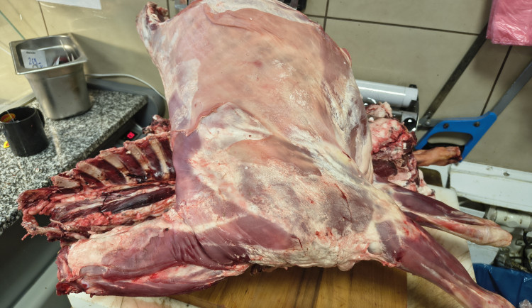 Salmonela na talíři. Brněnské halal řeznictví prodávalo problematické maso