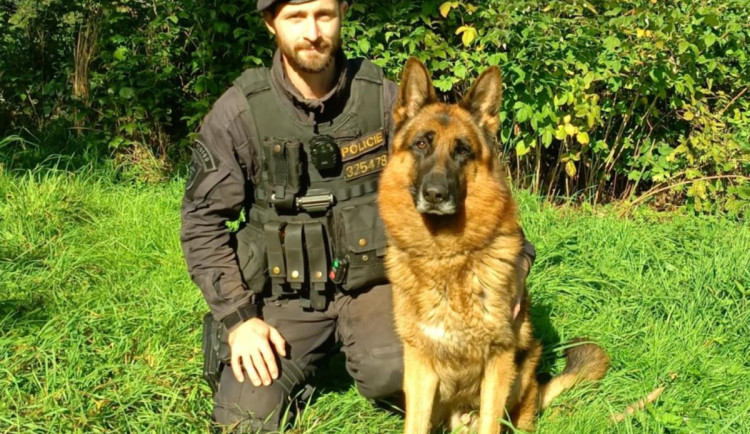 Psovod se služebním psem Sanchem krotil hádku opilých lidí v Trutnově