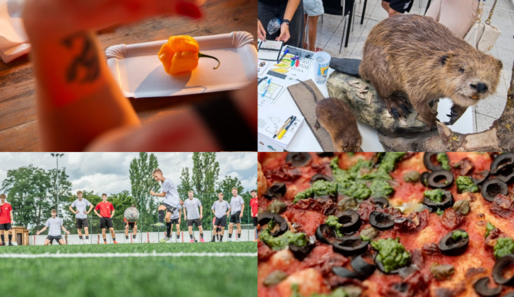 Kam o víkendu na jižní Moravě? Na rostlinné hody nebo na charitativní fotbálek