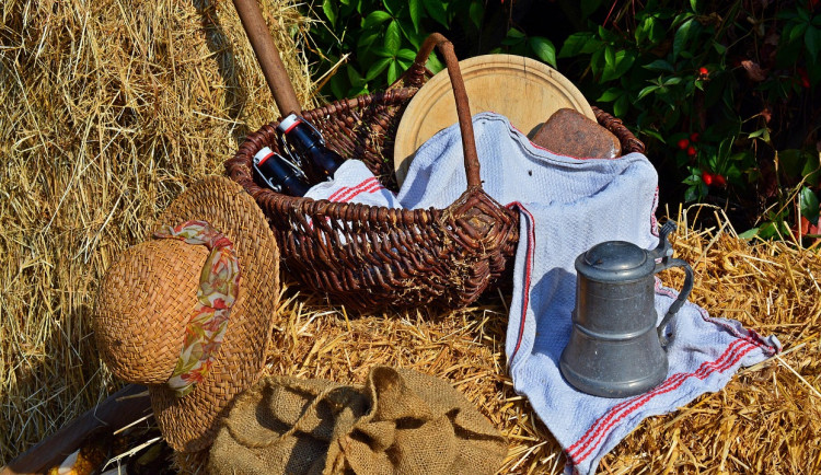 Zažijte v Archeoparku ve Všestarech pravěké dožínky a oslavte sklizeň jako naši dávní předci