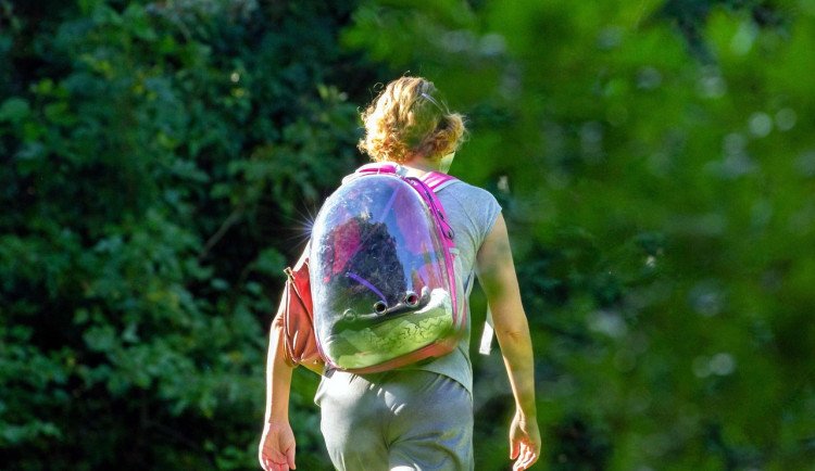 POLITICKÁ KORIDA: Regulace oblékání ve školách. Krok správným směrem nebo přešlap?