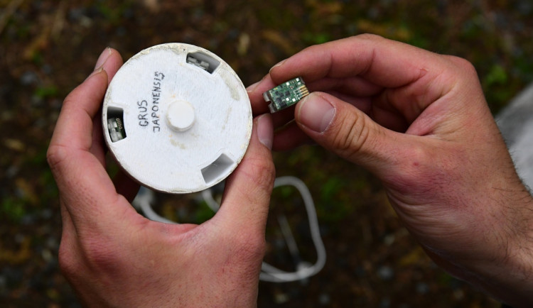 Chytrý podkladek a spousta sond. Data ze Zoo Olomouc přispějí k ptačí reprodukci