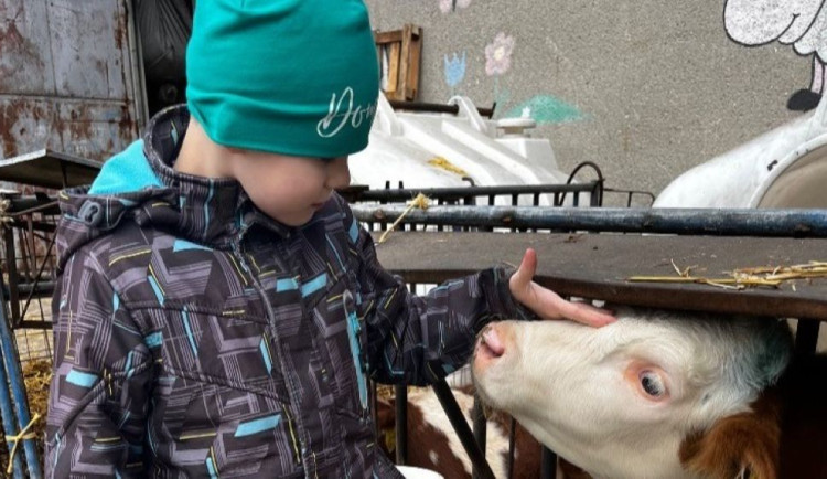 Navzdory prognózám dnes devítiletý Dominik z Olomouce chodí. Překonal dětskou mozkovou obrnu