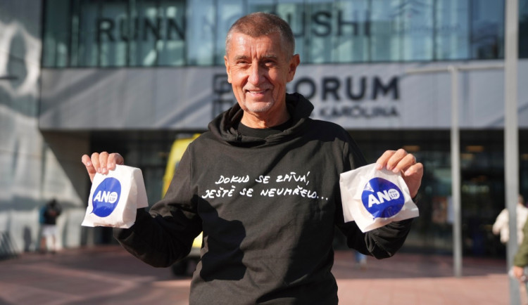 Jak bude vypadat Babišova vláda? Motoristé chtějí zahraničí, SPD vnitro