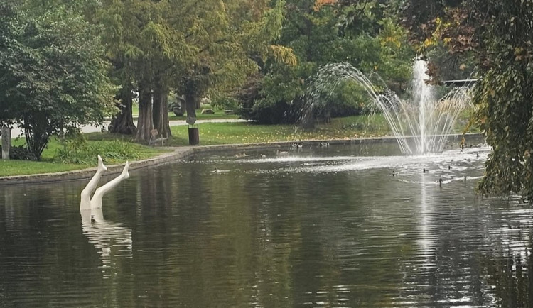 ANKETA: Nohy z vody Kurta Gebauera budí v Olomouci pozornost. Jak se vám líbí?