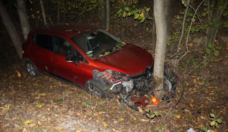 Opilý mladík nezvládl rychlost a u Břevence vyletěl v noci ze silnice. Skončil ve stromě