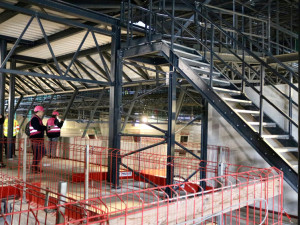 Hala pro třináct tisíc lidí dostala jméno. Brno bude mít T-Mobile Arenu