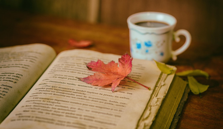 Do Brna se sjíždí čeští i zahraniční spisovatelé. Dorazí Tučková nebo Neff