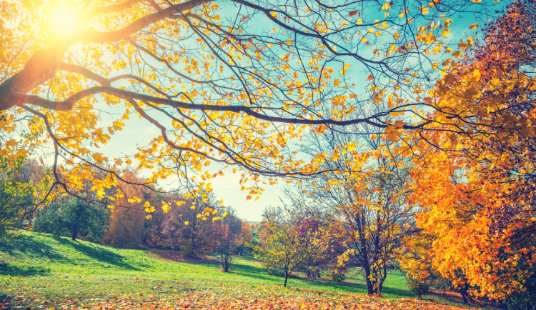 Během víkendu naměříme až 15 stupňů, na Frýdlantsku až 17. Déšť dorazí v neděli