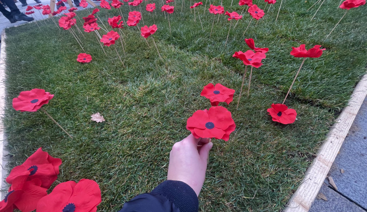 Lidé na Moravském náměstí v Brně zasadili vlčí máky jako symbol úcty k válečným veteránům