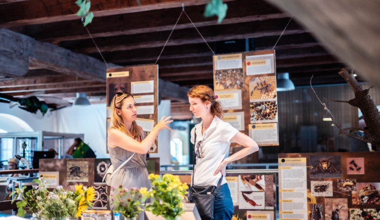 TIP NA VÍKEND: Olomoucká univerzita představí v Pevnosti poznání pozoruhodný život včel