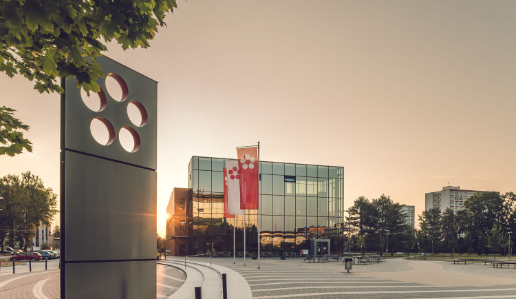 Co všechno jsou humanitní vědy a jaký mají význam pro společnost?