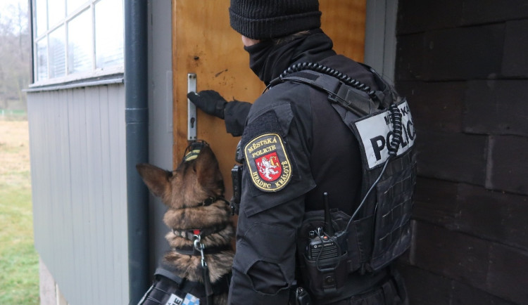 Hradecká městská policie častěji kontroluje zazimované chatky. Varuje před zloději